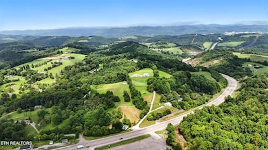 Photo Jul 20 2025, 1 09 46 PM (1)