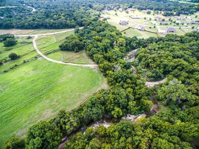 299 Mastadon Way, Weatherford, TX 76085 - photo 2