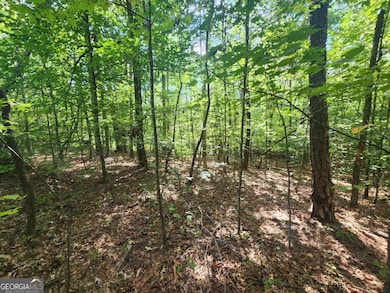 16 Hayden Ct, Ellijay, GA 30540 - photo 5