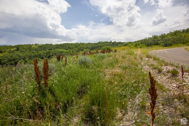 6839 E Summit Peak Cir unit 48, Huntsville, UT 84317 - photo 5