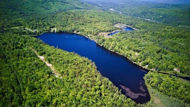 00 Hidden Acres Dr unit 30.1 & 30.2, Sugar Hill, NH 03586 - photo 3