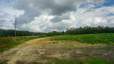 23.52 Ac Hwy 63 - S, Lucedale, MS 39452 - photo 5