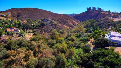 3197 Via de Caballo, Encinitas, CA 92024 - photo 4