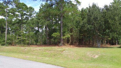102 Calcos Ct, Stump Sound, NC 28445 - photo 2