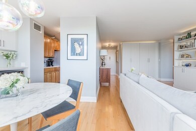 Tremont on the Common unit 7F, Boston, MA 02111 - photo 5