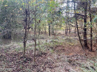 0 Massey Rd, Kosciusko, MS 39090 - photo 6