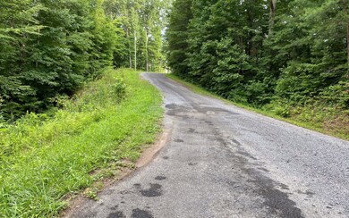 0 Crabapple Ct unit 309049, Ellijay, GA 30540 - photo 3