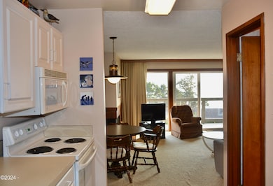 Kitchen to living room