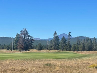 56565 Nest Pine Dr unit Lot 47, Bend, OR 97707 - photo 5