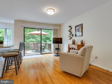 9101 Golden Sunset Ln, Springfield, VA 22153 - photo 5