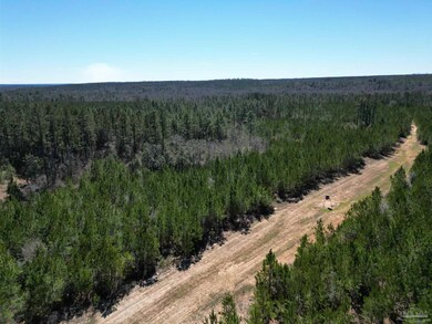 09 Robinsonville Rd, Atmore, AL 36502 - photo 5