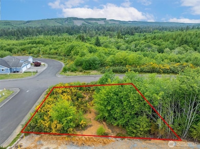 0 Sanderling (Lot 1) Dr unit NWM2326995, Hoquiam, WA 98550 - photo 7