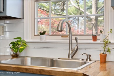 10209 Statia Lyn Ct-30