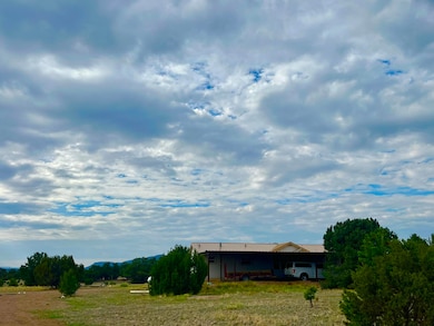17 Jackass Ln, Datil, NM 87821 - photo 2