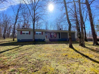 204 County Road 452, Poplar Bluff, MO 63901 - photo 4