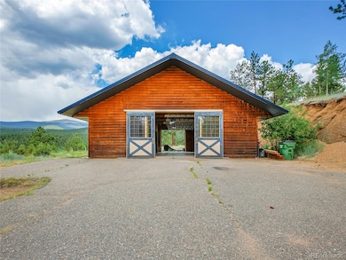 226 Bandit Ln, Bailey, CO 80421 - photo 3