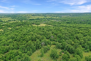 215 Acres unit East Truce Road, Bowie, TX 76230 - photo 2