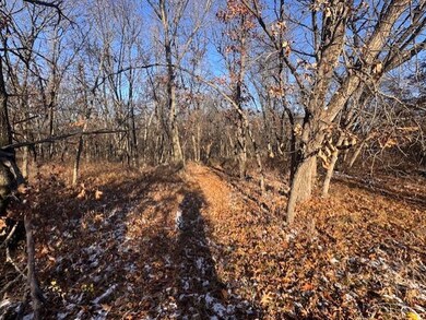 0 NE Camden Rd unit 11614061, Maysville, MO 64469 - photo 7