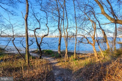 185 Park Rd, Pasadena, MD 21122 - photo 7