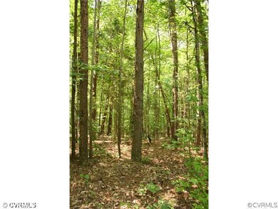Land - This property is awesome!  It has huge matu