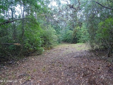 20250725121815389503000000-o