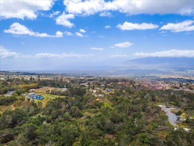 0 Haleakala Hwy unit 399797, Kula, HI 96790 - photo 2