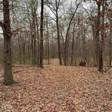 640 Greene 725 Rd, Paragould, AR 72450 - photo 3