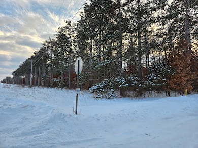 36XXX Forest Blvd, North Branch, MN 55056 - photo 2