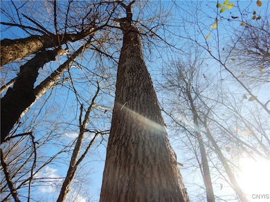 0 New York 220, Oxford, NY 13830 - photo 7