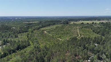 0 Deer Run Rd, Vidalia, GA 30474 - photo 5