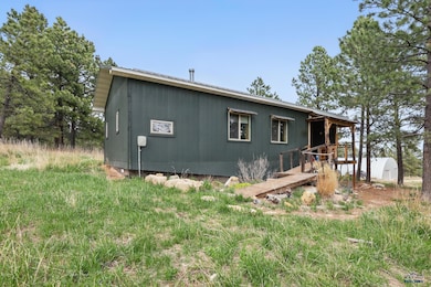 24427 Thovson Rd, Keystone, SD 57751 - photo 2