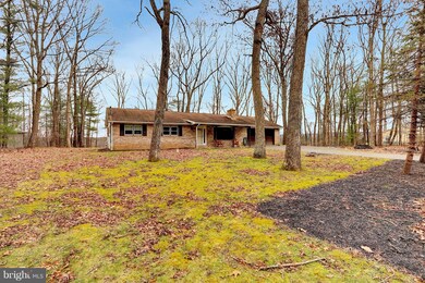 146 Mountain Rd, New Bloomfield, PA 17068 - photo 2