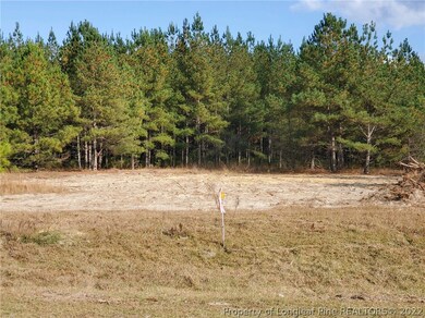 949 Pendergrass Rd, Raeford, NC 28376 - photo 2