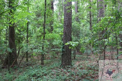 0 Farm To Market 2148, Red Lick, TX 75503 - photo 3