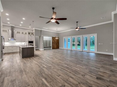 Family room/Kitchen combo