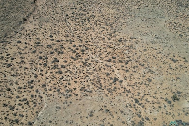 East of 185 Illinois Camp Rd, Carlsbad, NM 88220 - photo 3