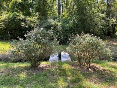 590 Evans Gann Rd, Lufkin, TX 75904 - photo 4