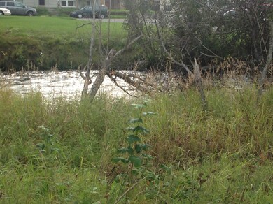 Campbell Creek right out back