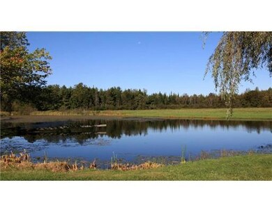 Other. Pond