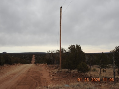 Tract A-1 Cr B29a, Villanueva, NM 87583 - photo 5