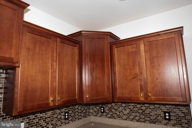 22166 Breitling Terrace, Broadlands, VA 20148 - photo 6