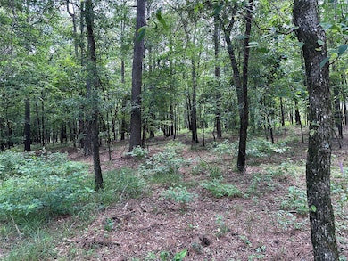 View of woods