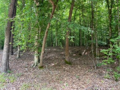 TBD Cr 405 & Hwy 334, Oxford, MS 38655 - photo 5