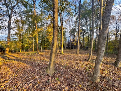 6559 Poston Rd, Athens, OH 45701 - photo 5