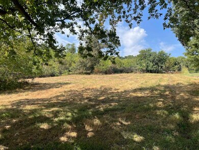 0 Boyce Fairview Rd unit 9 Acres RA20255371, Alvaton, KY 42122 - photo 4