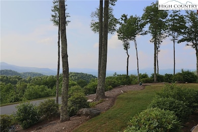 518 Indian Paintbrush Dr unit RO1, Banner Elk, NC 28604 - photo 4