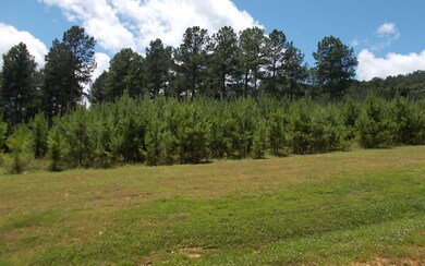 Additional View