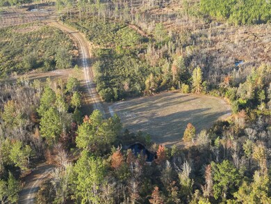 5150 Cr 405, Branford, FL 32008 - photo 4