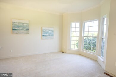 17 Julia Marie Ct, Elkton, MD 21921 - photo 7