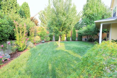 Backyard 2
